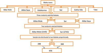 Knowledge, attitude, and its correlates of the community toward mental illness in Mattu, South West Ethiopia